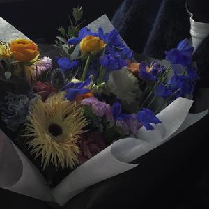 美乳美乳理论片中文字幕AV在线观看
